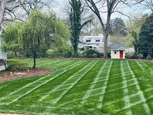 Lawn Maintenance, Mooresville, NC