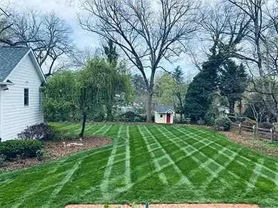 Lawn Maintenance, Statesville, NC Lawn Maintenance, Statesville, NC