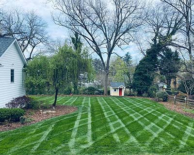 Dream Lawn